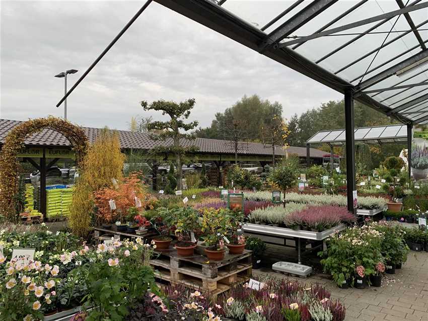 Florawelt Dorsten Gmbh Gahlener Straße Dorsten Baumschule - Florawelt Dorsten
