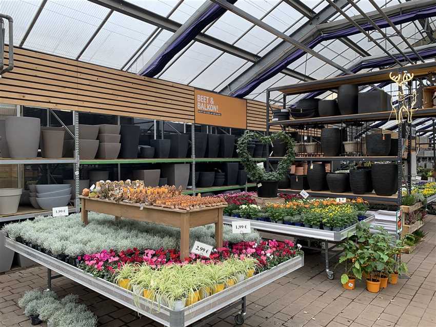 Florawelt Dorsten Gmbh Gahlener Straße Dorsten Beet- und Balkonpflanzen - Florawelt Dorsten