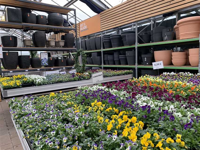 Florawelt Dorsten Gmbh Gahlener Straße Dorsten