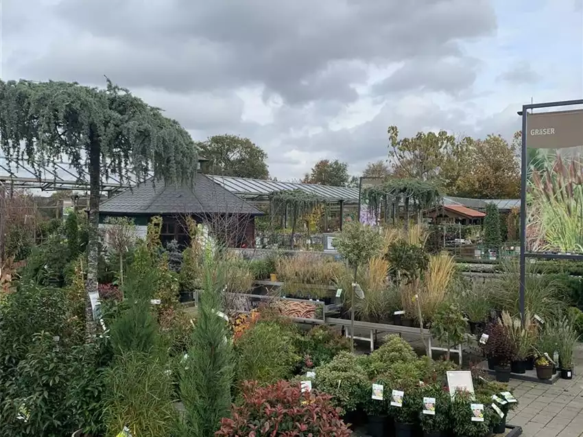 Florawelt Dorsten Gmbh Gahlener Straße Dorsten Baumschule - Florawelt Dorsten