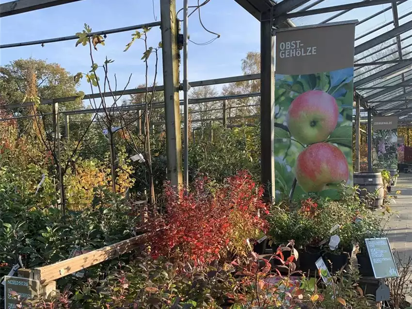 Florawelt Dorsten Gmbh Gahlener Straße Dorsten Baumschule - Florawelt Dorsten