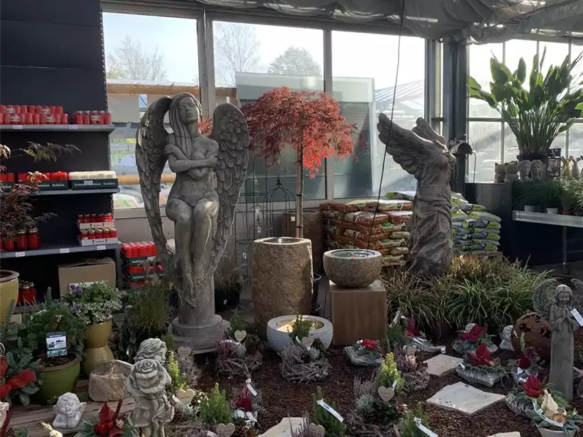 Florawelt Dorsten Gmbh Gahlener Straße Dorsten Beet & Balkon - Florawelt Dorsten