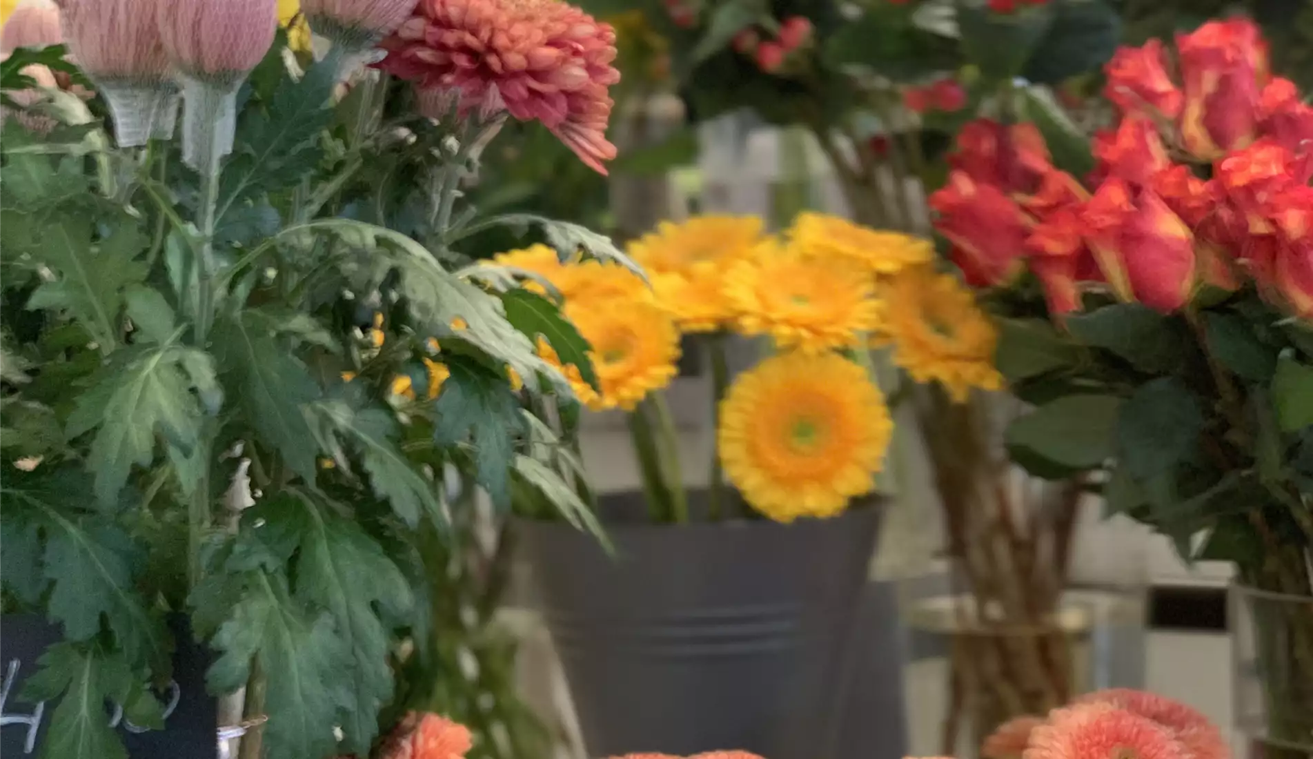 Florawelt Dorsten Gmbh Gahlener Straße Dorsten Schnittblumenabteilung - Florawelt Dorsten