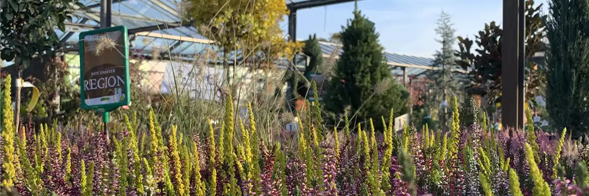Florawelt Dorsten Gmbh Gahlener Straße Dorsten Baumschule - Florawelt Dorsten