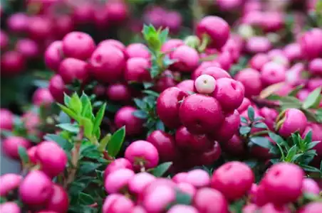 TON IN TON IN DEN HERBST TON IN TON IN DEN HERBST