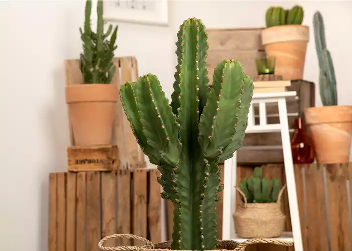 WIE GEHT... RAUMKLIMA? WIE GEHT... RAUMKLIMA?