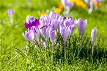 BUNTES OSTERFEST MIT FRüHLINGSBOTEN!