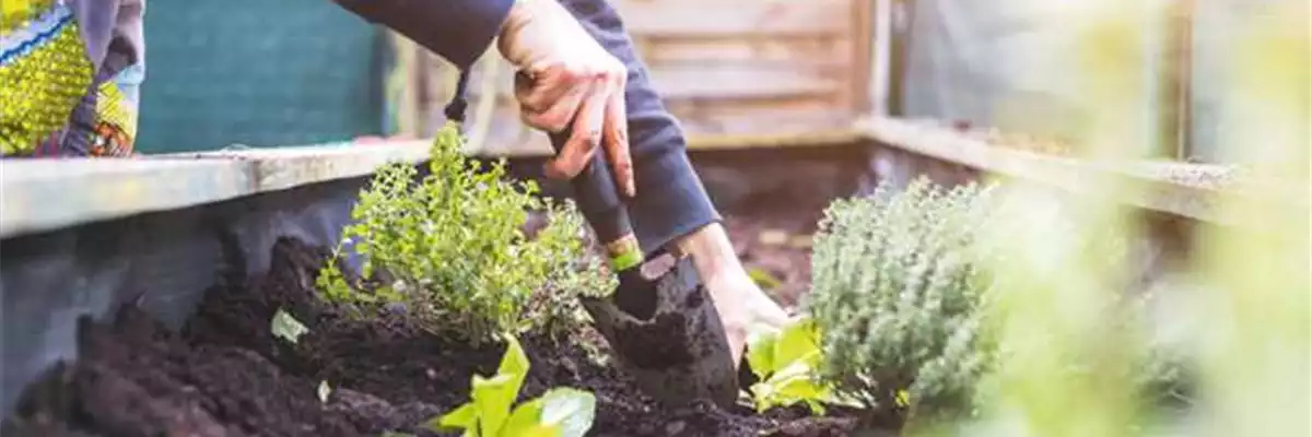 EIN HOCH AUF'S HOCHBEET! 