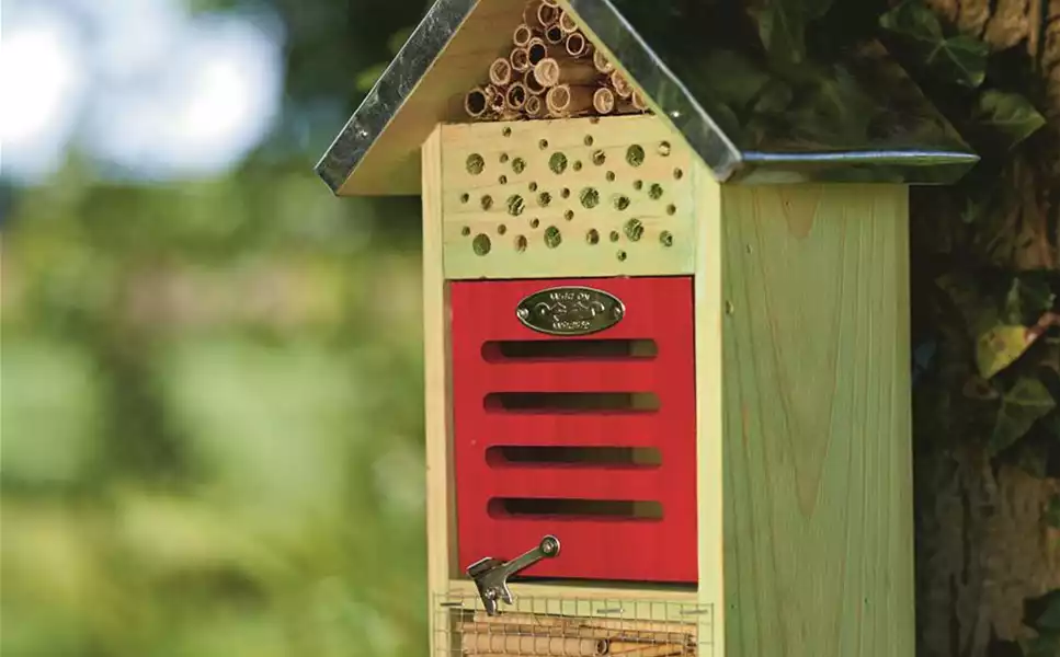 Ein zuhause für unsere kleinen freunde - Für Vögel und Insekten