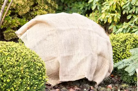 GUT GESCHÜTZT DURCH DEN WINTER! GUT GESCHÜTZT DURCH DEN WINTER!