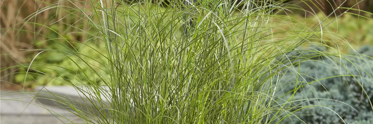 DER HERBST STEHT VOR DER TÜR! 