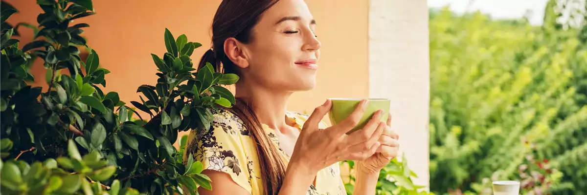 EINFACHER GEHT'S KAUM!