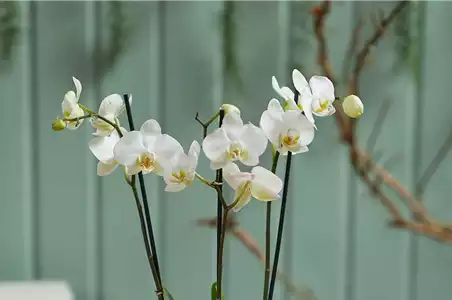 MODERNE WEIHNACHTEN! 