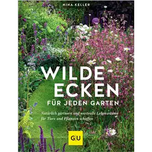 Buch des Monats: Oktober!