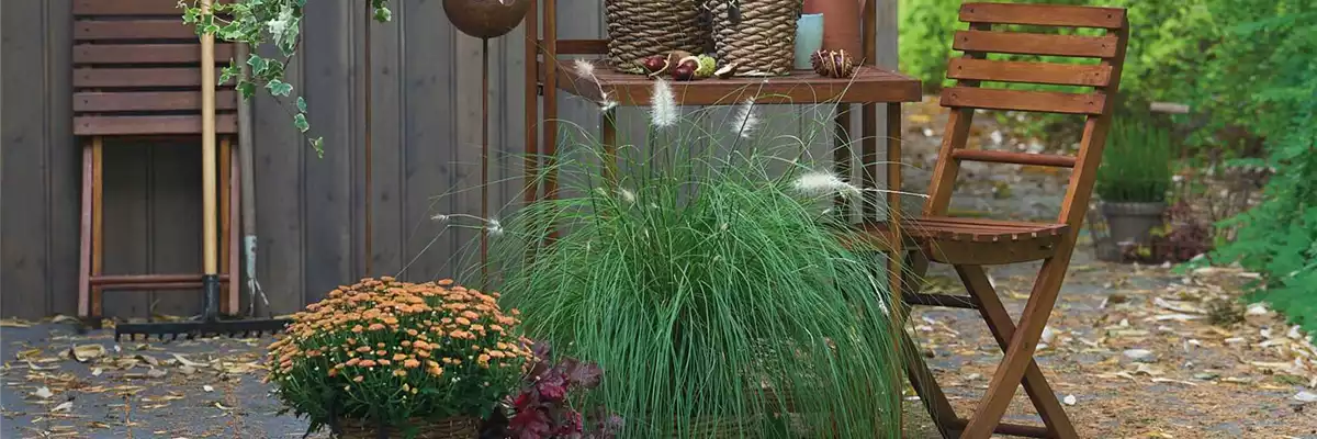 WARME FARBEN, STARKE WIRKUNG!