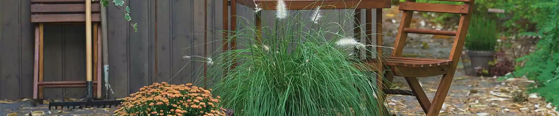 WARME FARBEN, STARKE WIRKUNG!