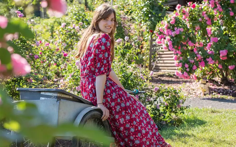 Ziergarten - GRäSER, STAUDEN UND CO. Ziergarten - GRäSER, STAUDEN UND CO.