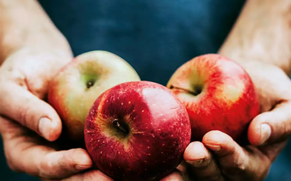 Schmücker Hof - Äpfel, Eier und Kartoffeln