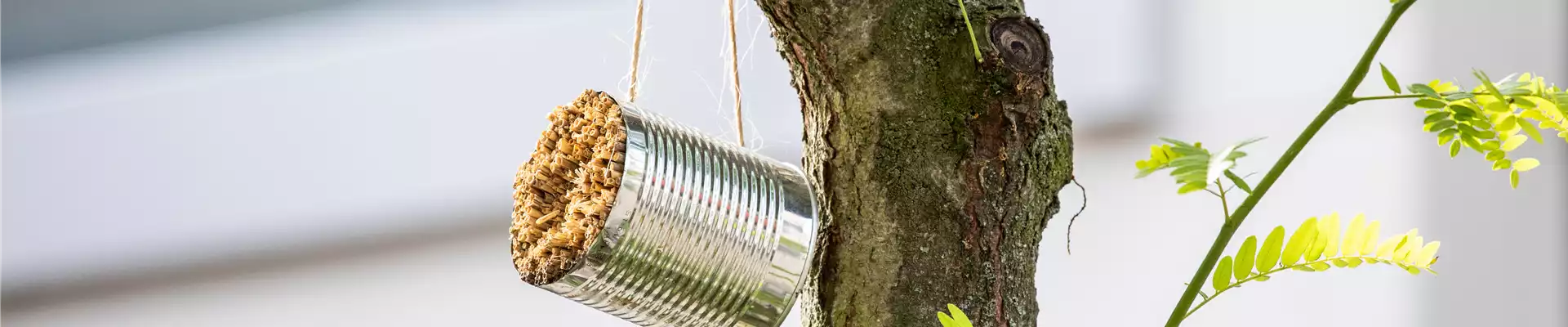 Nisthilfe in Stadtgarten