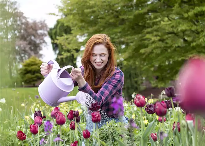ÜBERLEGT GIESSEN UND SPAREN! ÜBERLEGT GIESSEN UND SPAREN!