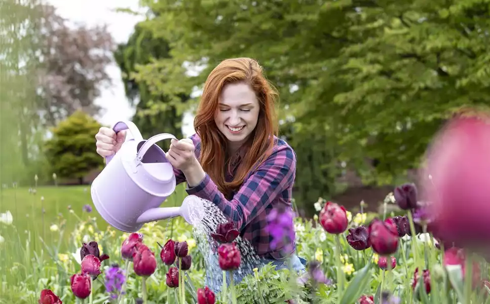 Auch Pflanzen haben Durst - Wasser marsch Auch Pflanzen haben Durst - Wasser marsch