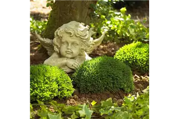 GRABGESTALTUNG! GRABGESTALTUNG!