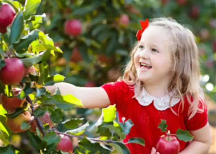 OBSTGARTEN FÜR KINDER OBSTGARTEN FÜR KINDER