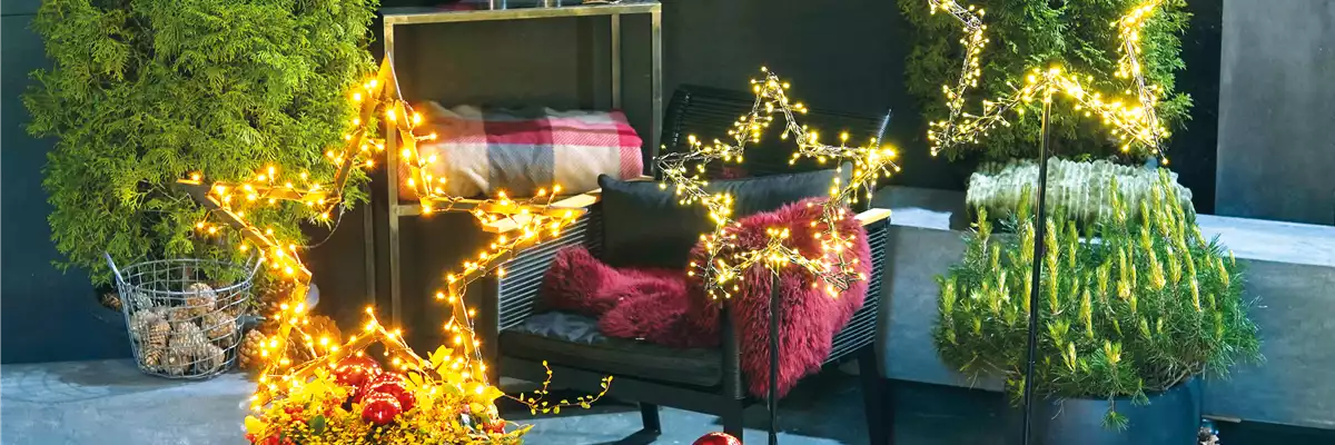 LICHTBLICKE IM WINTER-GARTEN!