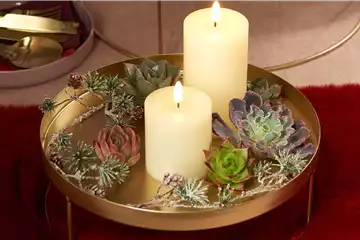 IM GLANZ DER ELEGANZ!