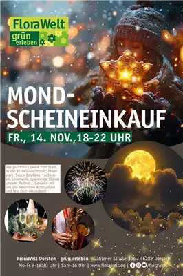 Mondscheineinkauf Mondscheineinkauf