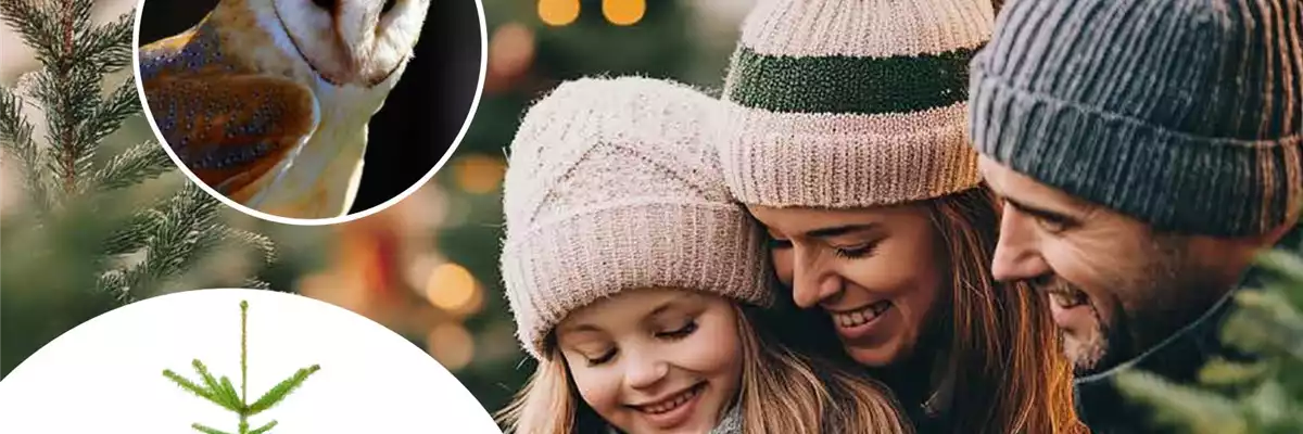 Florawelt Anzeige Weihnachtsbaum 133 x 200 mm LS251634 v2