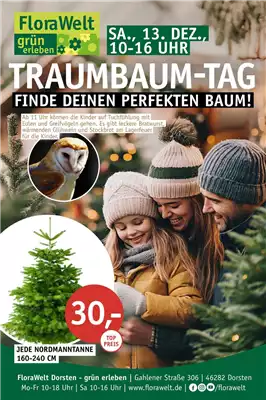 Traumbaum Event