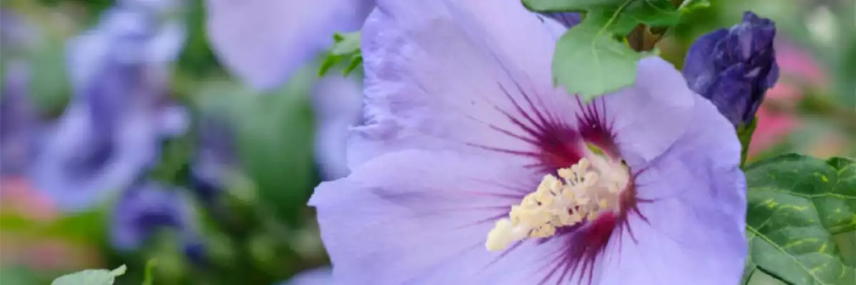 HIER FLIEGEN ALLE DRAUF!