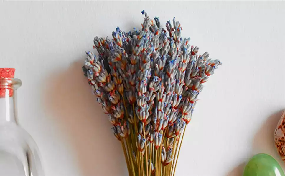 Voll im Trend - Trockenblumen