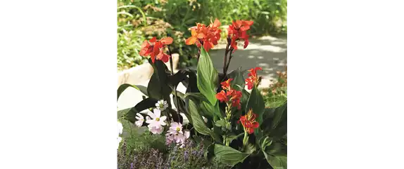 SO SCHöN BLüHT ES IM BEET! 