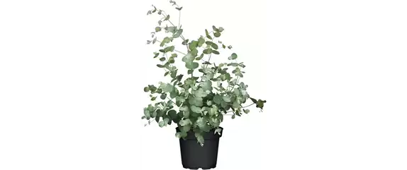 URLAUBSGEFÜHLE ZUHAUSE! 