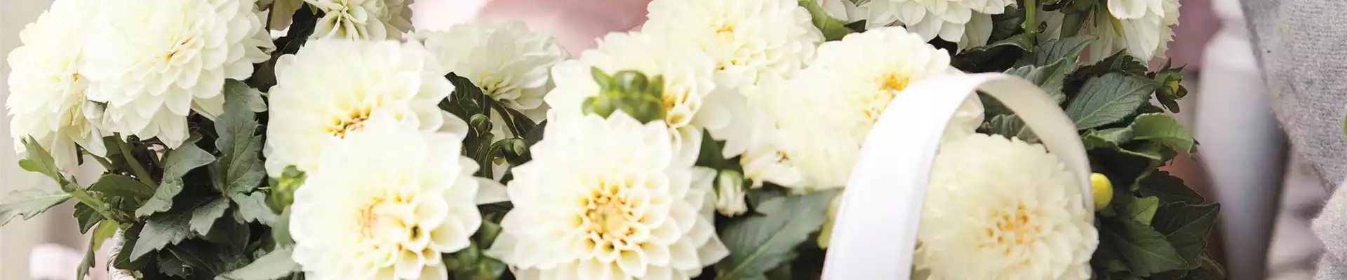 URLAUB AUF DEM BALKON! 