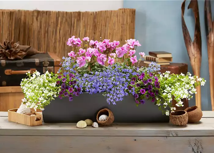 DIE SCHÖNSTEN BALKONKÄSTEN!