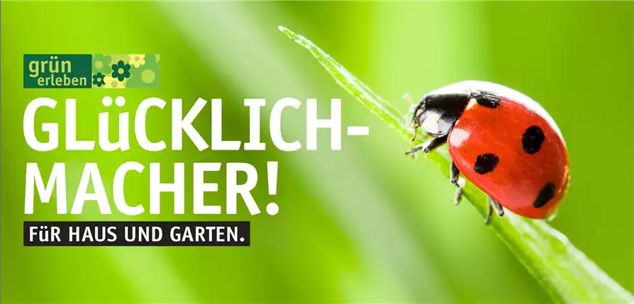 Versandgutschein