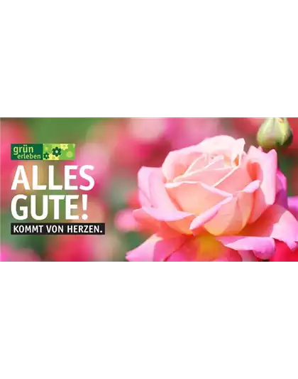 Versandgutschein Versandgutschein