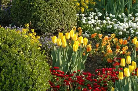 Eine Tüte voll Frühling Eine Tüte voll Frühling