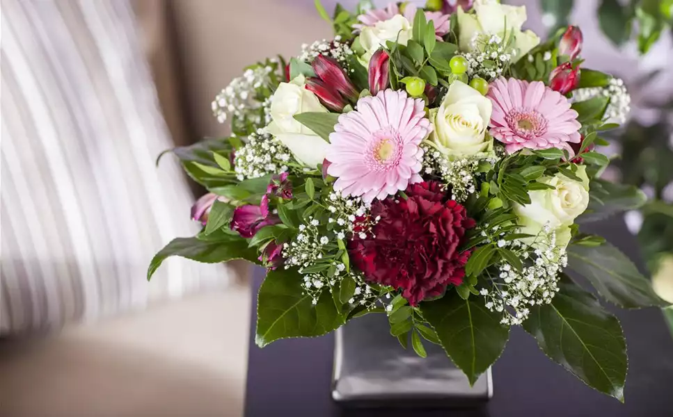 Einfach schön - Schnittblumen