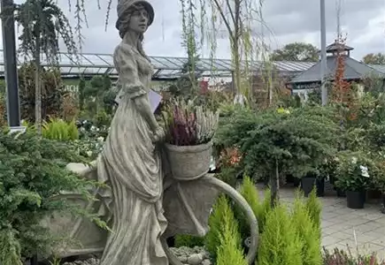 Baumschule Baumschule