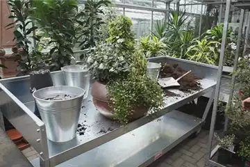 Blumenkübel - Dauerhafte Bepflanzung Blumenkübel - Dauerhafte Bepflanzung