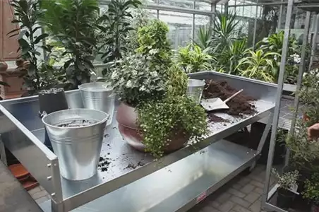 Blumenkübel - Dauerhafte Bepflanzung Blumenkübel - Dauerhafte Bepflanzung