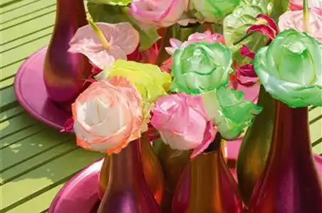 DIE TOP 8 DER SOMMERBLUMEN
