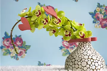 DIE TOP 8 DER WINTERBLUMEN DIE TOP 8 DER WINTERBLUMEN