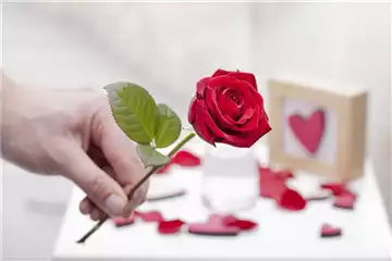 BLUMIGER VALENTINSTAG!