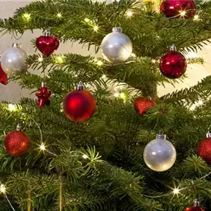 WEIHNACHTS-LICHTER-GÄRTEN WEIHNACHTS-LICHTER-GÄRTEN