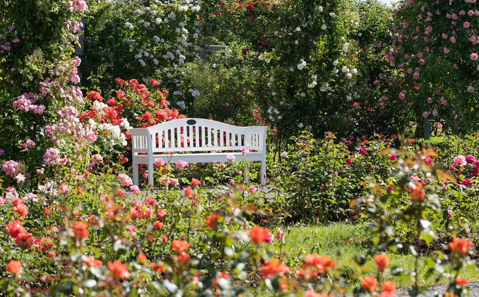 Outdoor Boutique - Deko für dein grünes Wohnzimme Outdoor Boutique - Deko für dein grünes Wohnzimme